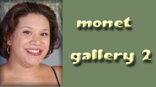 Monet in Gallery 2
